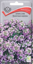 Алиссум Фиолетовая королева 0,3гр ПЦц