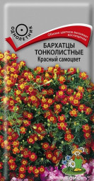 Бархатцы тонколистные Красный самоцвет 0,1гр Поиск