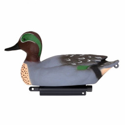 Чучело Чирок-свистунок селезень