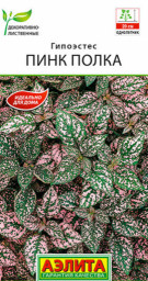 Гипоэстес Пинк Полка 20шт Аэлита