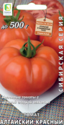 Томат Алтайский красный Поиск